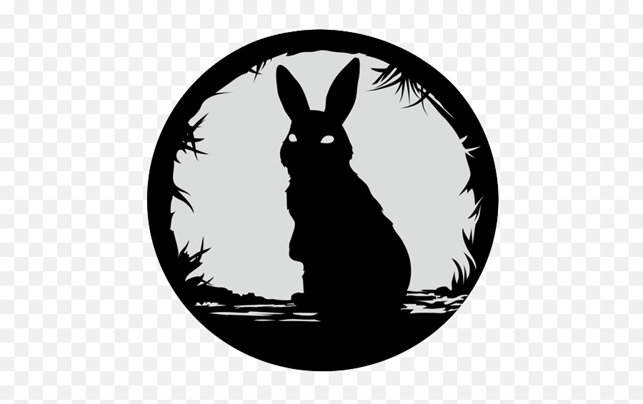 Rabbit Hole Pictures - Miami Film Studio Png,Rabbit Face Icon