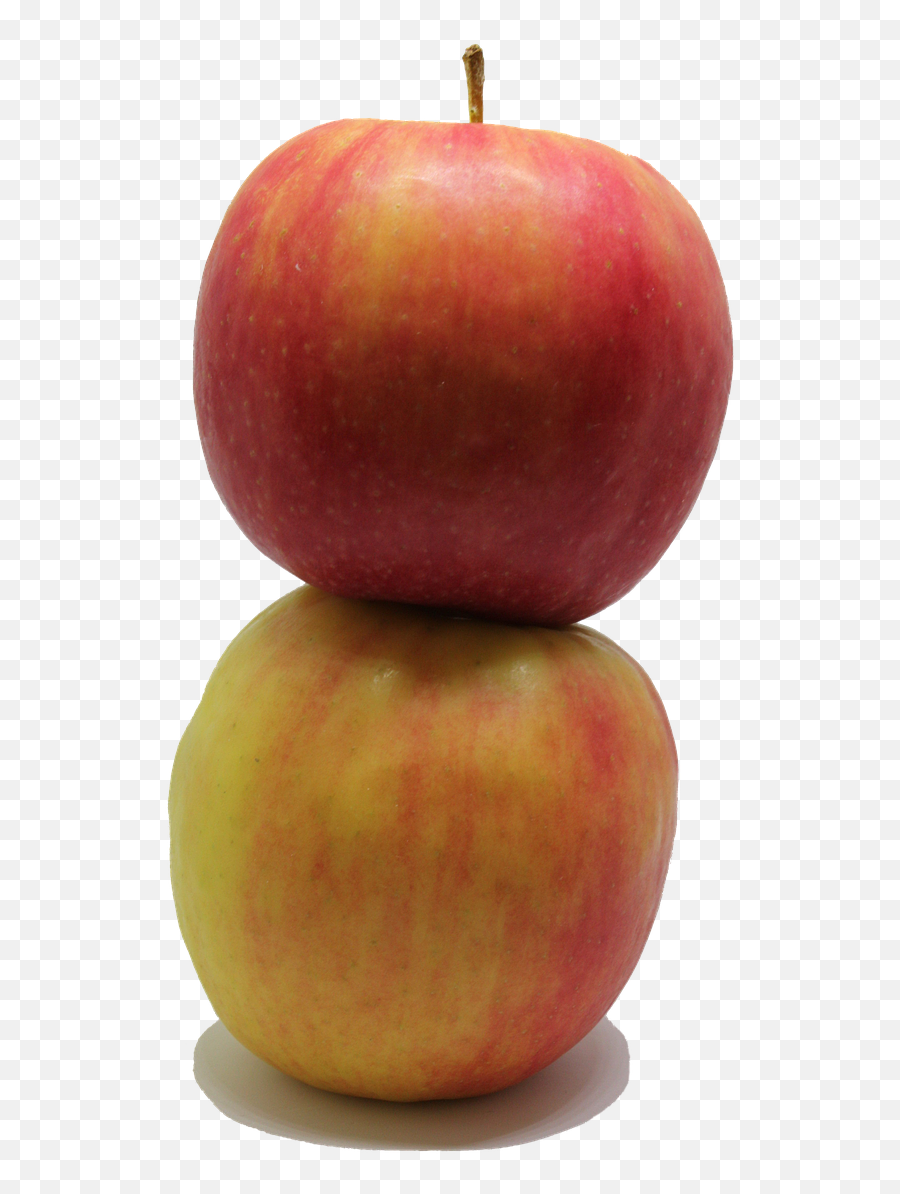 Applefruitpngfoodfresh - Free Image From Needpixcom Mcintosh Png,Orange Fruit Png