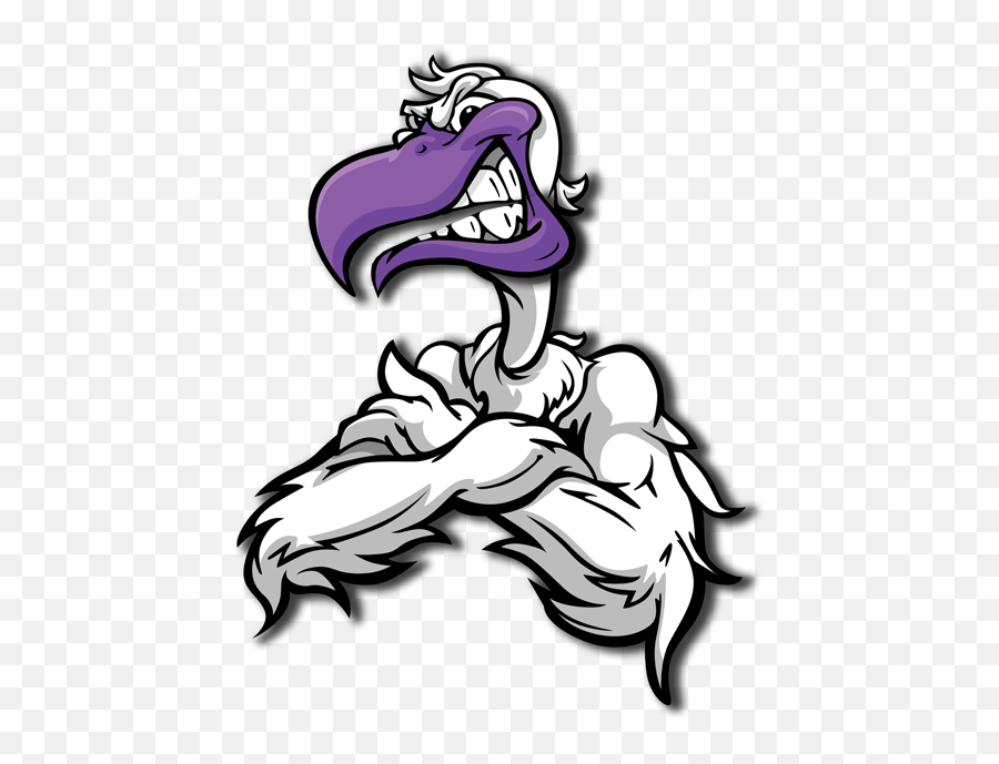 Download Seagull Uav - Angry Seagull Cartoon Full Size Png Port Allen High Logo,Seagulls Png