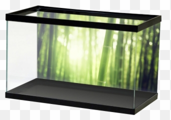 Bamboo Forest Background U2014 Aquarium Vinyl - Aoc C24b1h png