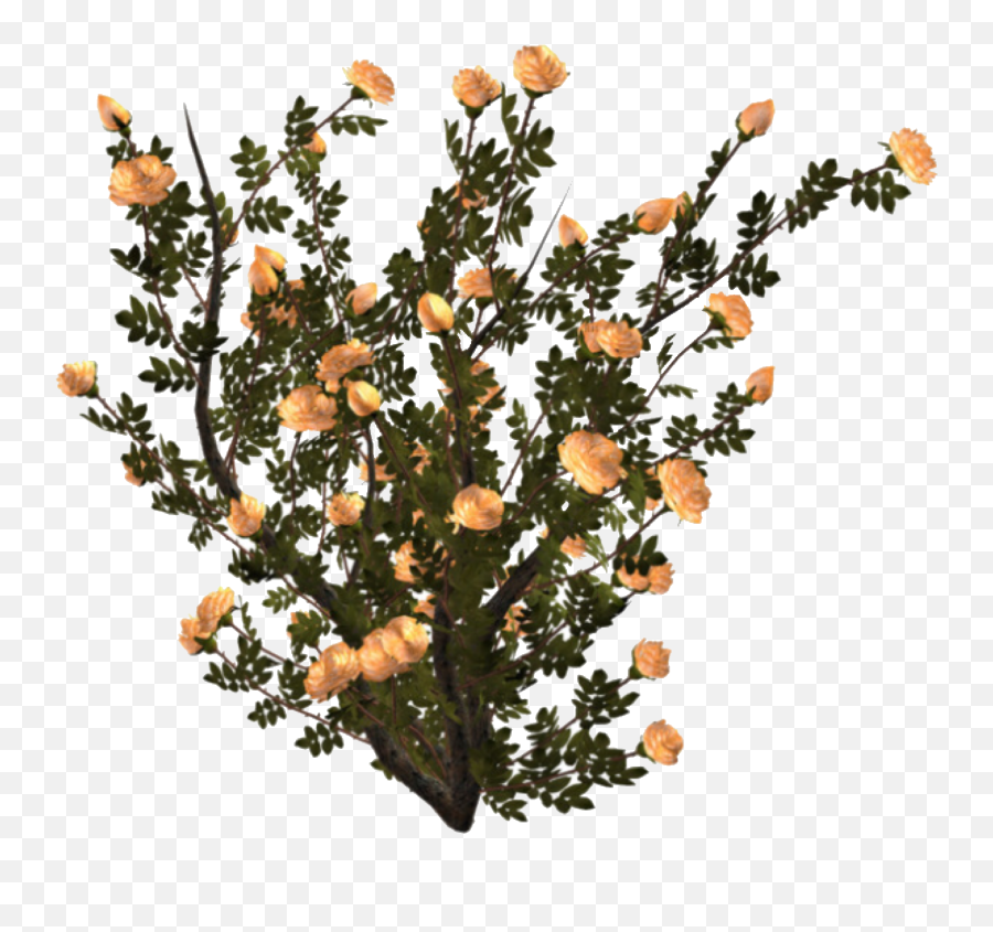Aesthetic Plant Pngs Flower Bushes Png