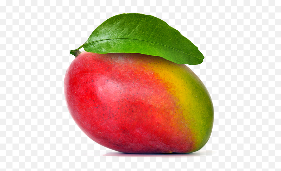 Mango Apple Smoothie Fruit Food - Mango Png Download 800 Mango Png,Mango Transparent Background