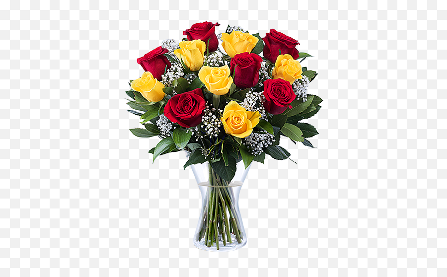 Flamenco 12 Yellow And Red Roses - Red And Yellow Roses Png,Yellow Rose Transparent