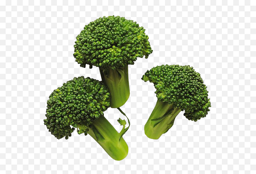Broccoli Png Images Transparent Free - Broccoli Clip Art,Brocolli Png