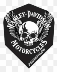 Harley Davidson Skull With Wings 2995skullwithwings - png