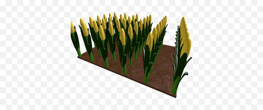 Robloxia Farm - Hoe Png,Corn Field Png