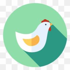 Hen Png Icon 26 - Png Repo Free Png Icons Icono De Una Gallina,Hen Png
