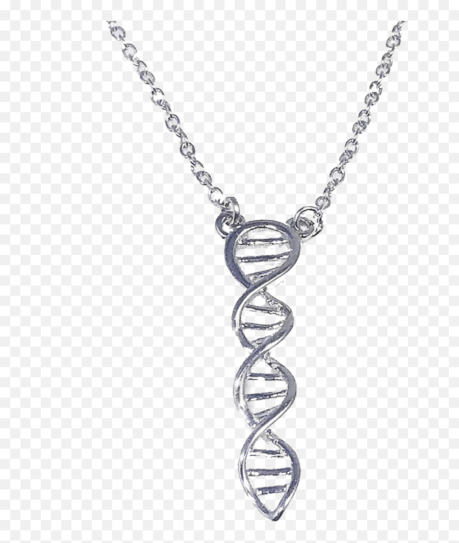 Dna Double Helix Necklace - Necklace Png,Double Helix Png