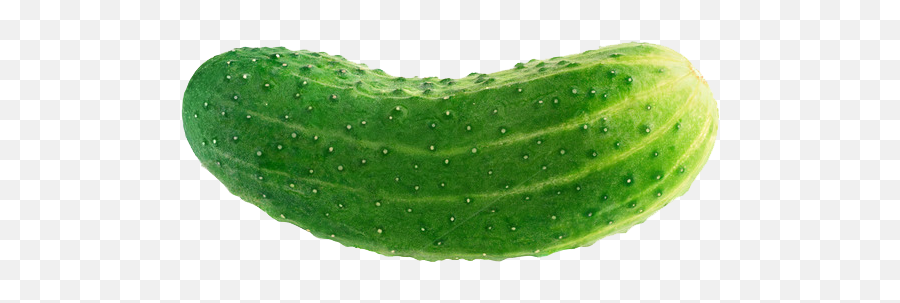Cucumber Png Transparent Images - Cucumbers West Bengal,Cucumber Transparent