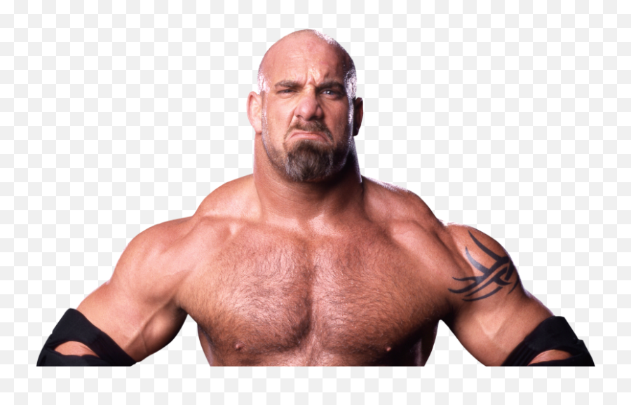 Shane Mcmahon Or Bill Goldberg Who - Wwe 2020 Png,Shane Mcmahon Png