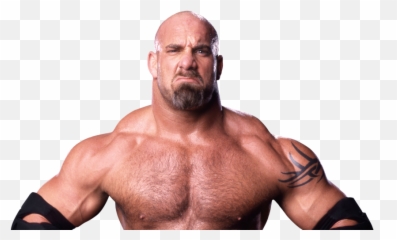 Shane Mcmahon Or Bill Goldberg Who - Wwe 2020 Png,Shane Mcmahon Png