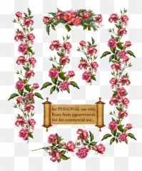 Download Pink Flower Vine Png - Flowers Clip Art
