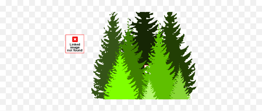 Download Vector Transparent Pine Tree Line K - Clip Art Pine Tree Png,Transparent Trees