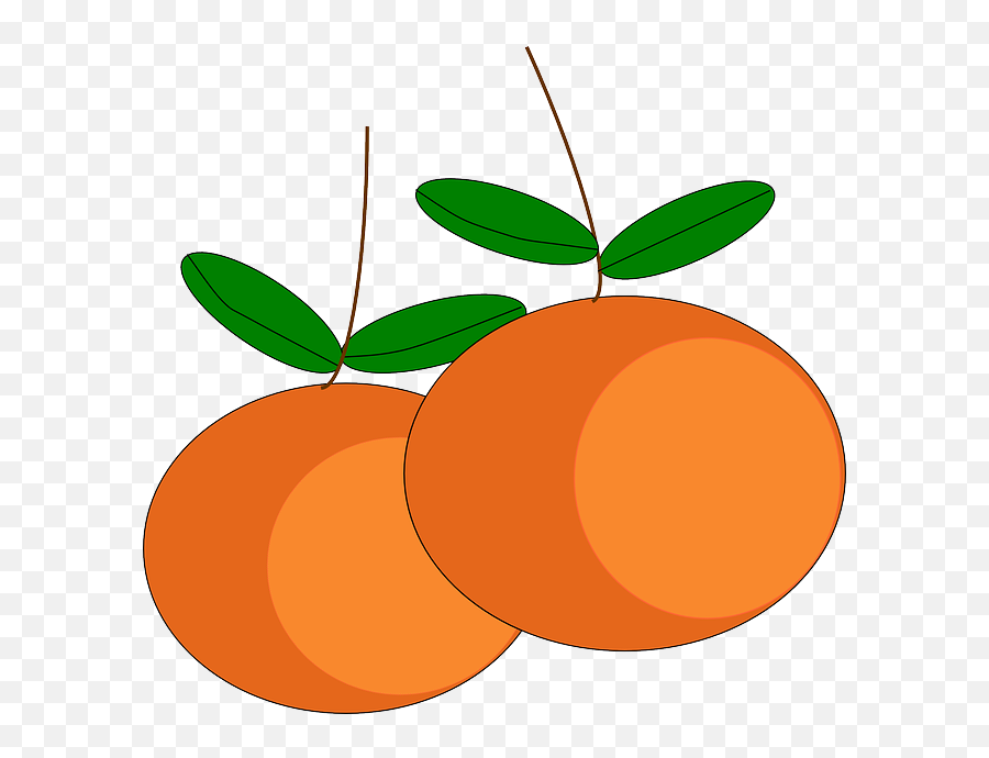 Oranges Fruits Citrus - Mandarin Orange Clipart Png,Oranges Png