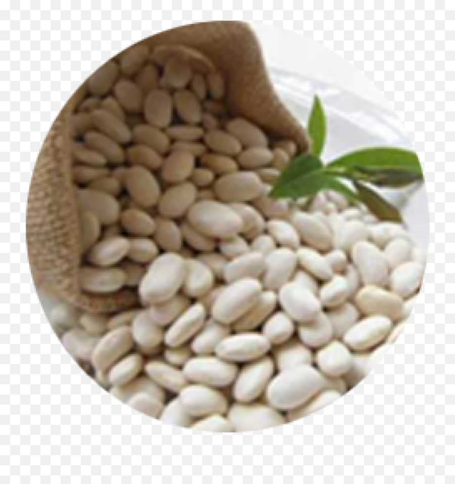 Kidney Bean Navy Dal Carbohydrate - Black Beans Png White Kidney Bean,Beans Png