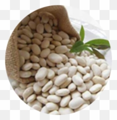 Kidney Bean Navy Dal Carbohydrate - Black Beans Png White Kidney Bean,Beans Png