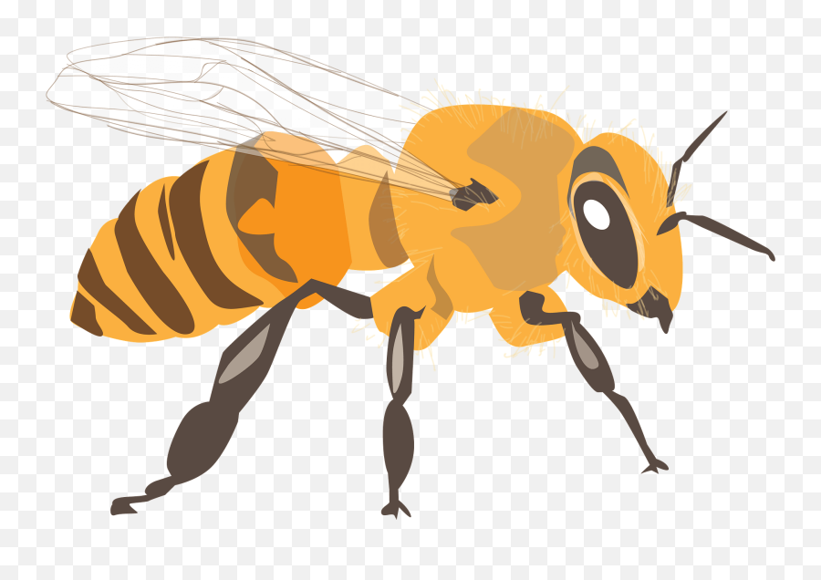 Bee Clipart - Empiezan Con La Letra Png,Transparent Bee
