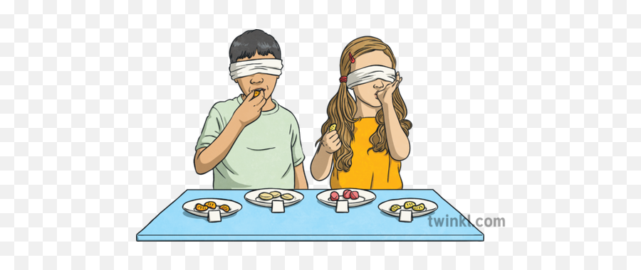 Taste Test Healthy Eating Week Food Boy - Blindfolded Taste Test Foods Png,Blindfold Png