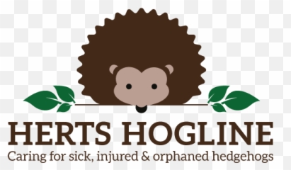 Hedgehog Awareness Week 2019 Lynne Garner - Nova Mad Greek Png,Hedgehog Logo