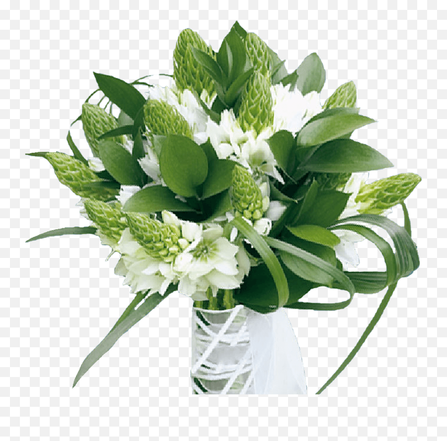 Globalrose 180 Blooms Of Star Bethlehem 20 Stems - Fresh Star Of Bethlehem Flower Bouquet Png,Star Of Bethlehem Png