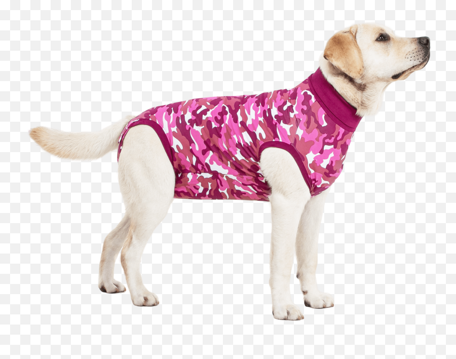 Recovery Suit Dog - Surgical Suit For Dogs Png,Pink Dog Logo