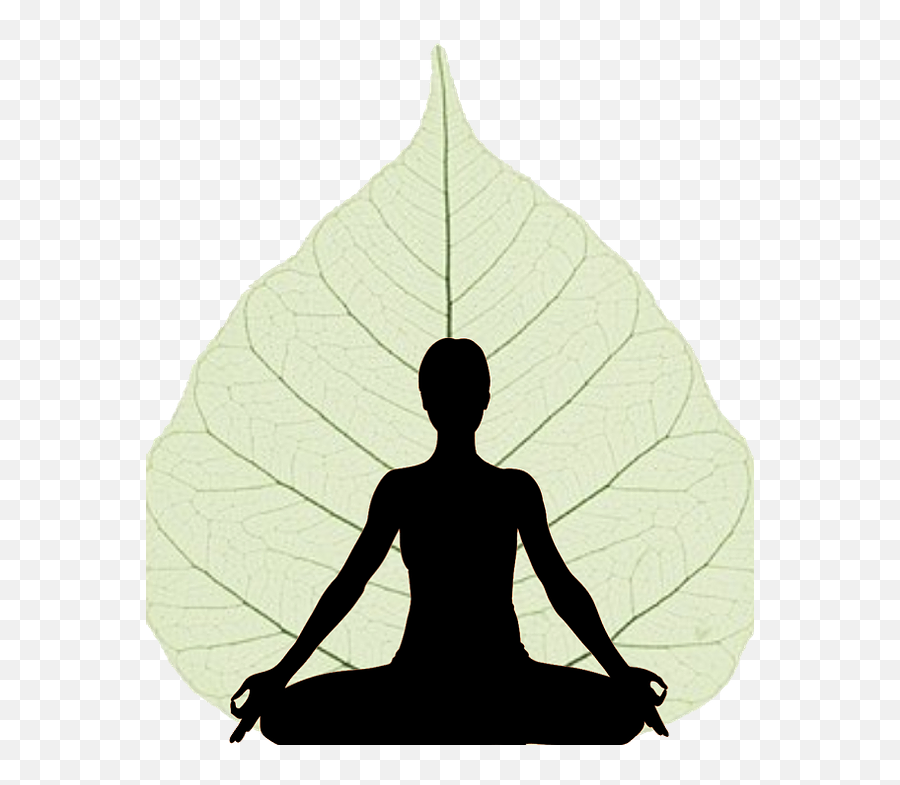 Yoga One Wellness Group - Self Actualization Needs Maslow Png,Yoga Silhouette Png