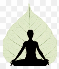 Yoga One Wellness Group - Self Actualization Needs Maslow png