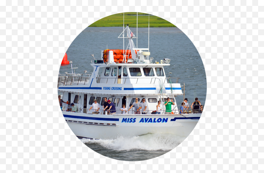 Avalon Nj Fishing Charters Miss U0026 Cruising - Henry 2nd Duke Of Suffolk Png,Fishing Boat Png