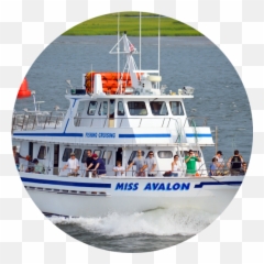 Avalon Nj Fishing Charters Miss U0026 Cruising - Henry 2nd Duke Of Suffolk Png,Fishing Boat Png