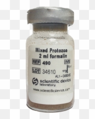 Index Of Wp - Contentuploads Lovely Png,Vial Png