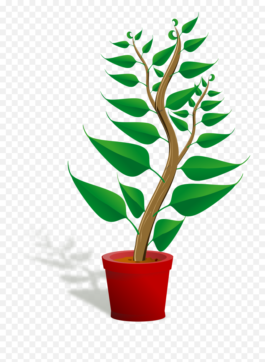 Plants Clipart Png - Plant Clip Art Png,Aloe Vera Plant Png