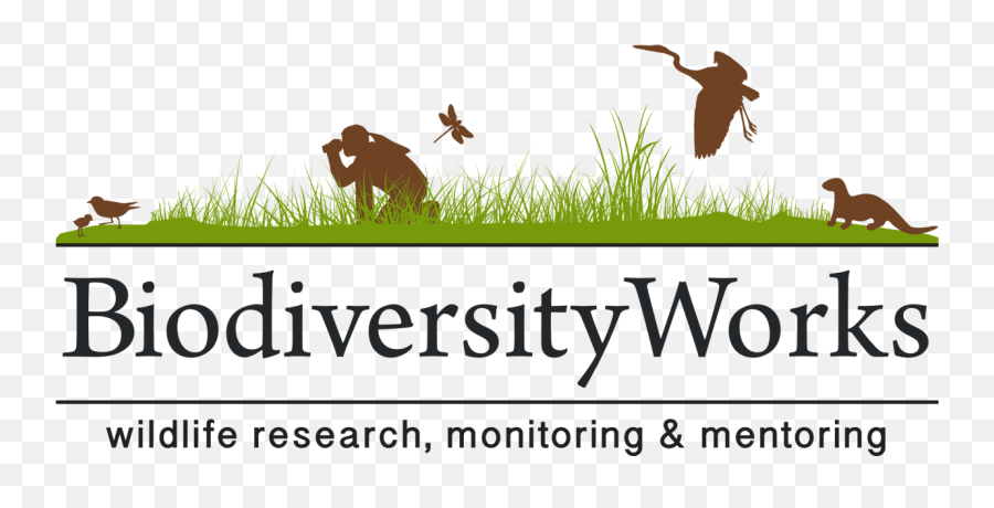 Snake Mapping And Monitoring U2013 Biodiversityworks - Language Png,Green Snake Icon