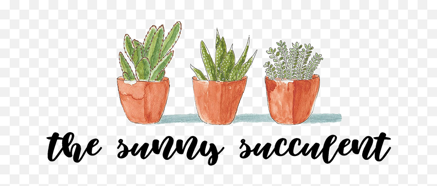 Home The Sunny Succulent - Fines Herbes Png,Succulent Icon Transparent