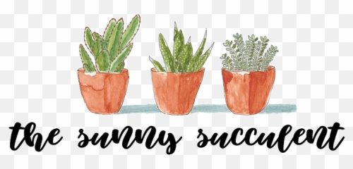 Home The Sunny Succulent - Fines Herbes Png,Succulent Icon Transparent