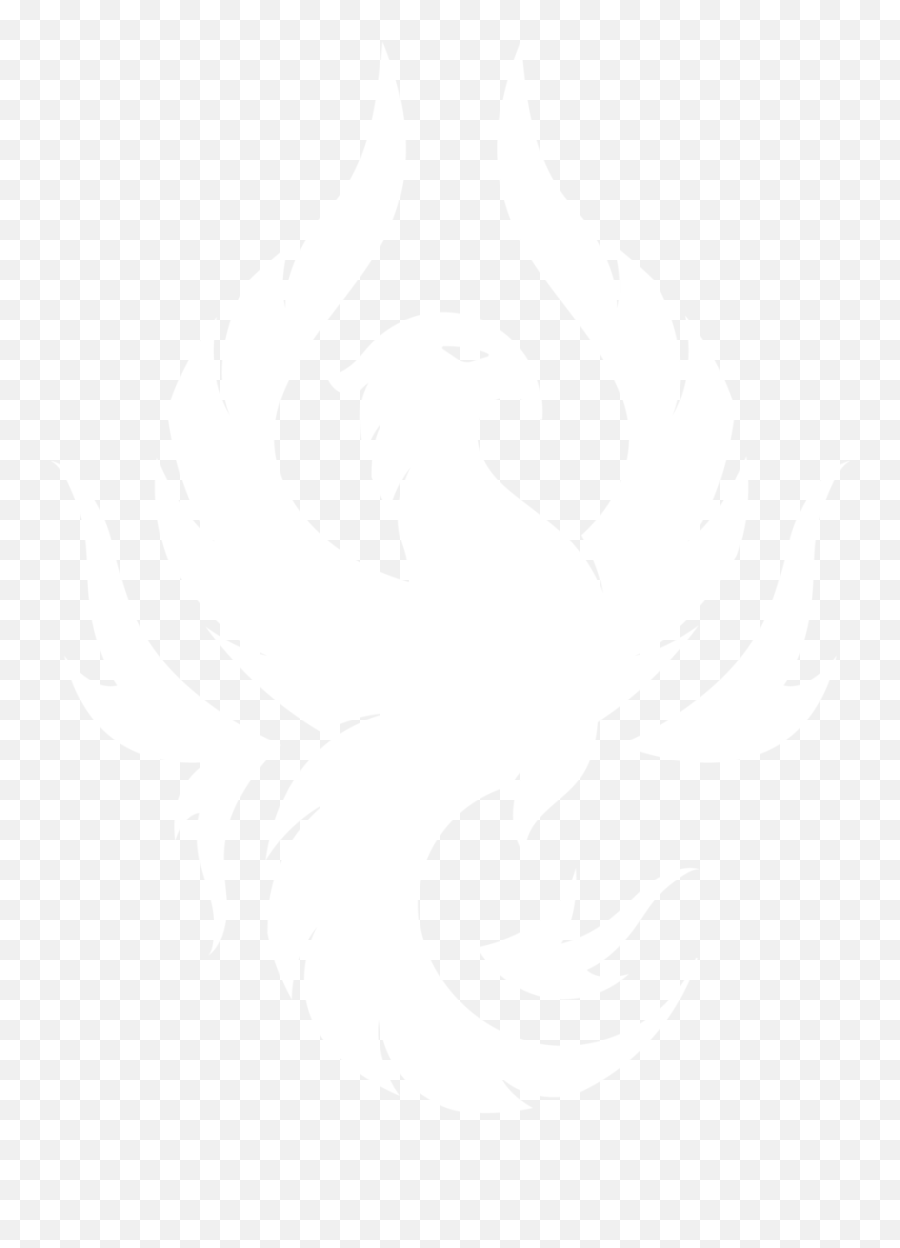 Contact U2014 Phoenix Brands Llc - Johns Hopkins Logo White Png,Received Icon