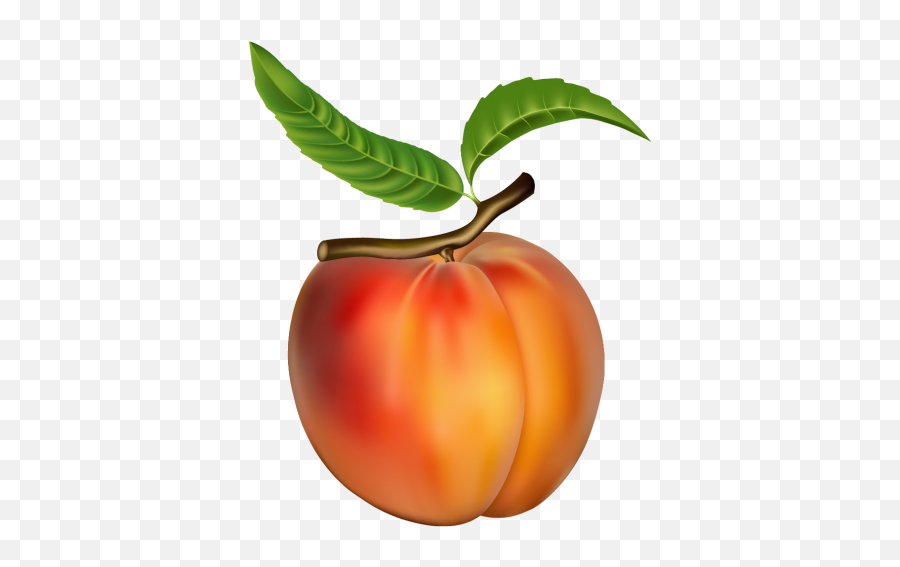 Peach Png Clipart - Peach Images Clip Art,Fruit Clipart Png