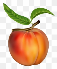 Peach Png Clipart - Peach Images Clip Art,Fruit Clipart Png