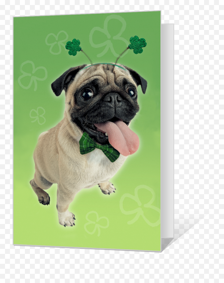 Pugs And Kisses Printable American Greetings - Pug Png,Pug Icon