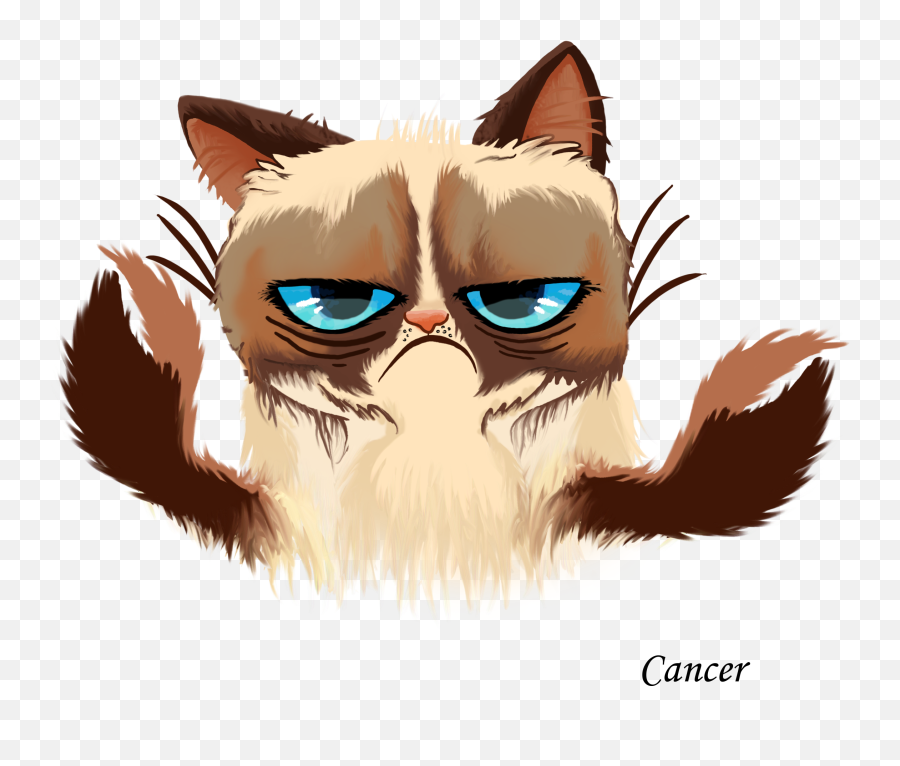 Grumpy Cat Kitten Cats And The Internet - Grumpy Cat Png Vector,Sad Cat Png