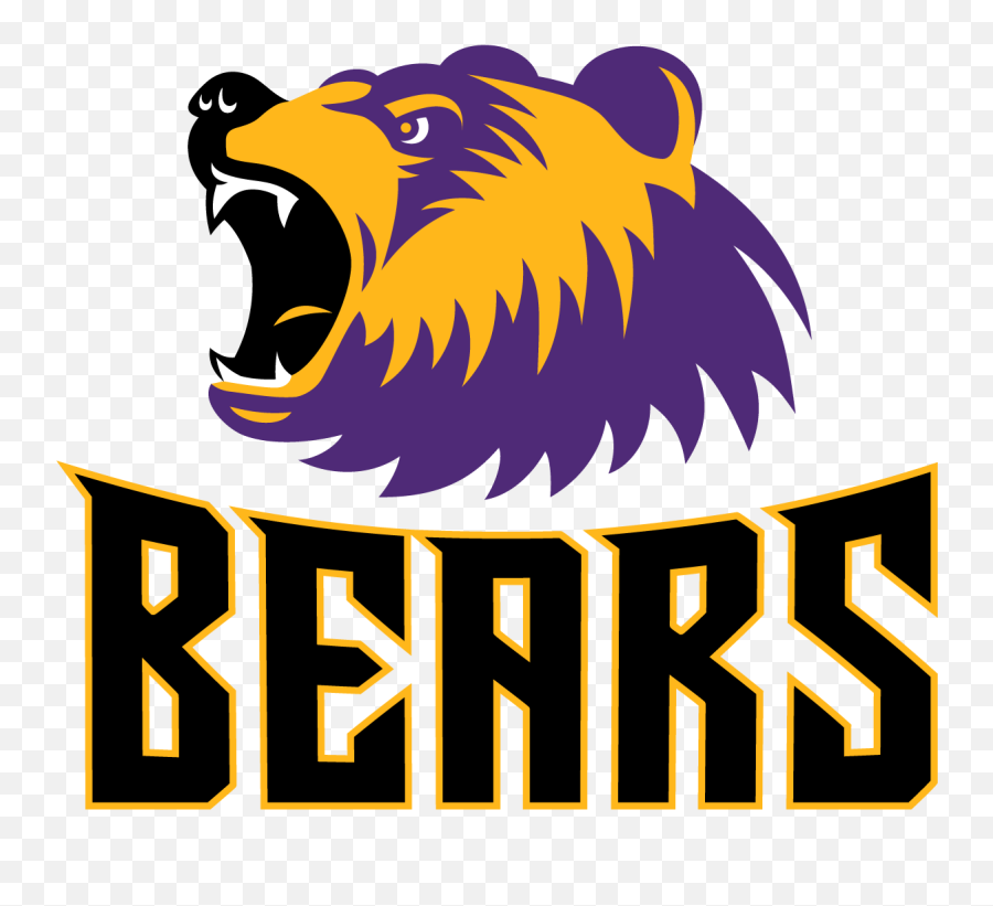 Bearwear - Willow Grove Bears Png,Bears Icon