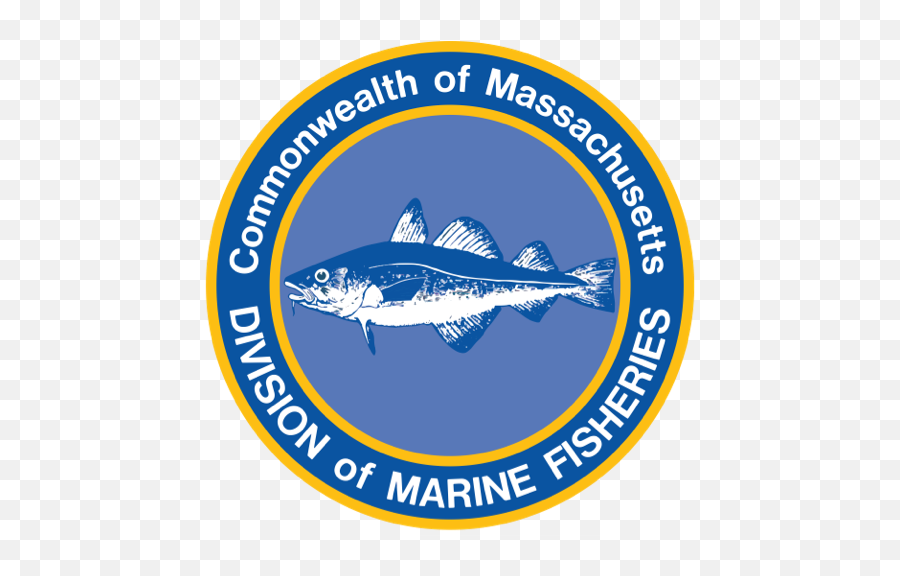 Massachusetts U2014 Native Fish Coalition - Fish Products Png,Small Fish School Icon