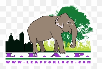 Lucy The Elephant Edmonton Leap Png