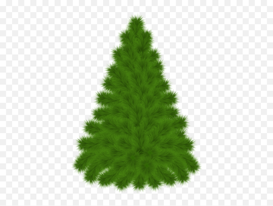 Pine Tree Png Clipart Picture - Pine,Pine Trees Png