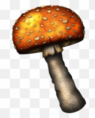 Mushroom Clipart Png 42890 - Free Icons And Png Backgrounds Clip Art,Mushroom Png