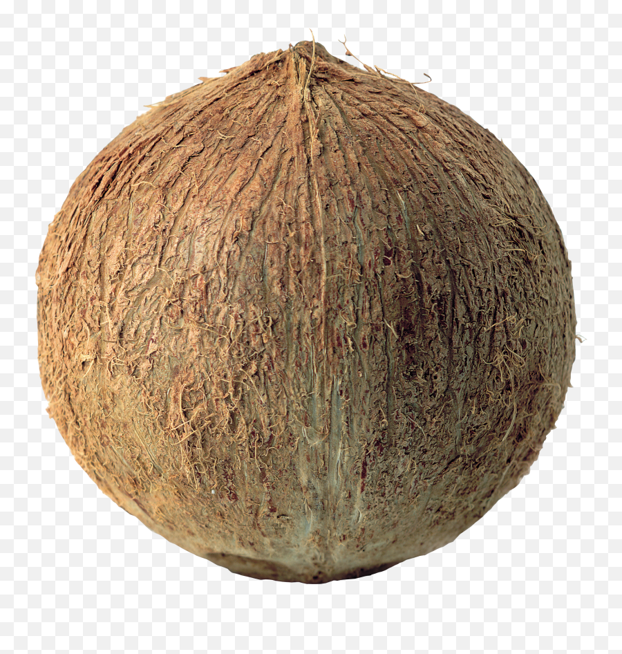 Coconut Png Image - 2 Coconut Png,Coconut Png