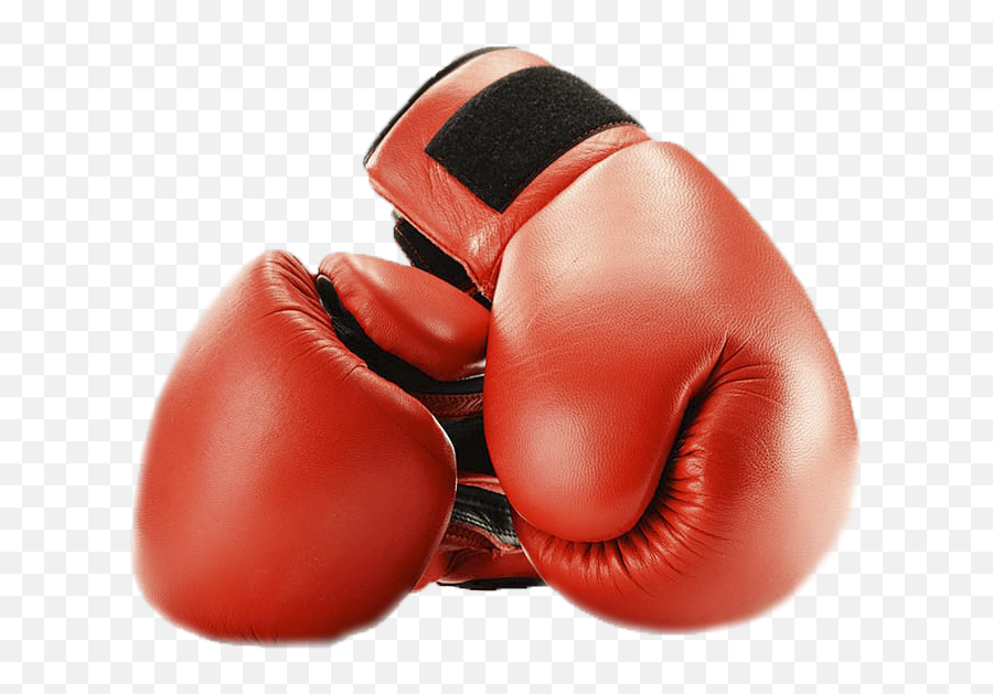 On - Boxing Gloves Stock Png,Boxing Gloves Png