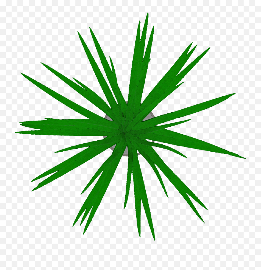 Free Png Top View - Clip Art,Grass Top View Png