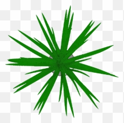 Free Png Top View - Clip Art,Grass Top View Png