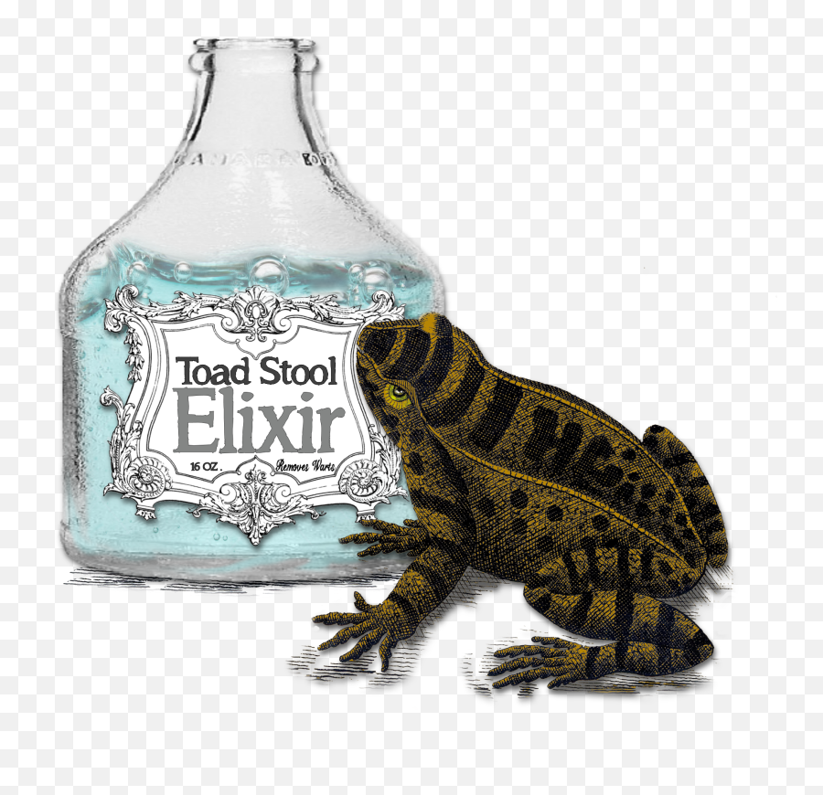 Category Bottles - Graf X Quest Frogs Png,Toadstool Png