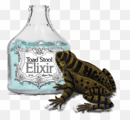 Category Bottles - Graf X Quest Frogs Png,Toadstool Png